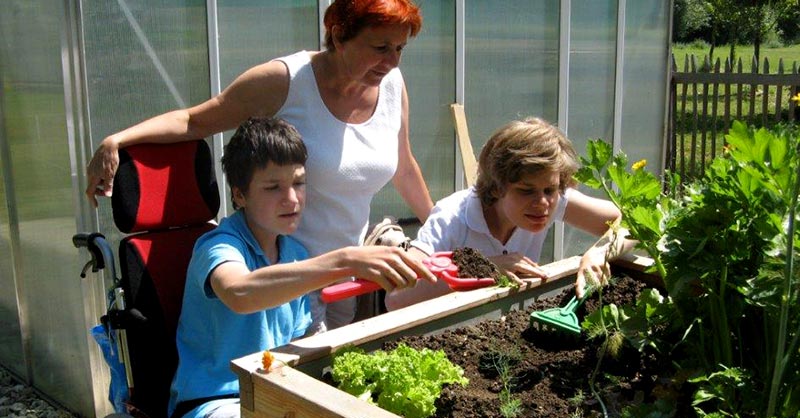 2 Kinder pflegen die Pflanzen im Hochbeet